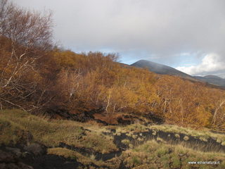 rra delle Concazze-01-01-2009 04-13-59